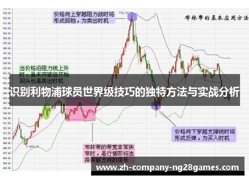 识别利物浦球员世界级技巧的独特方法与实战分析