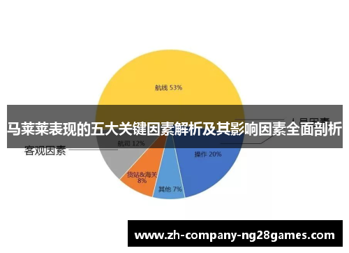 马莱莱表现的五大关键因素解析及其影响因素全面剖析 马莱莱表现的五大关键因素解析及其影响因素全面剖析